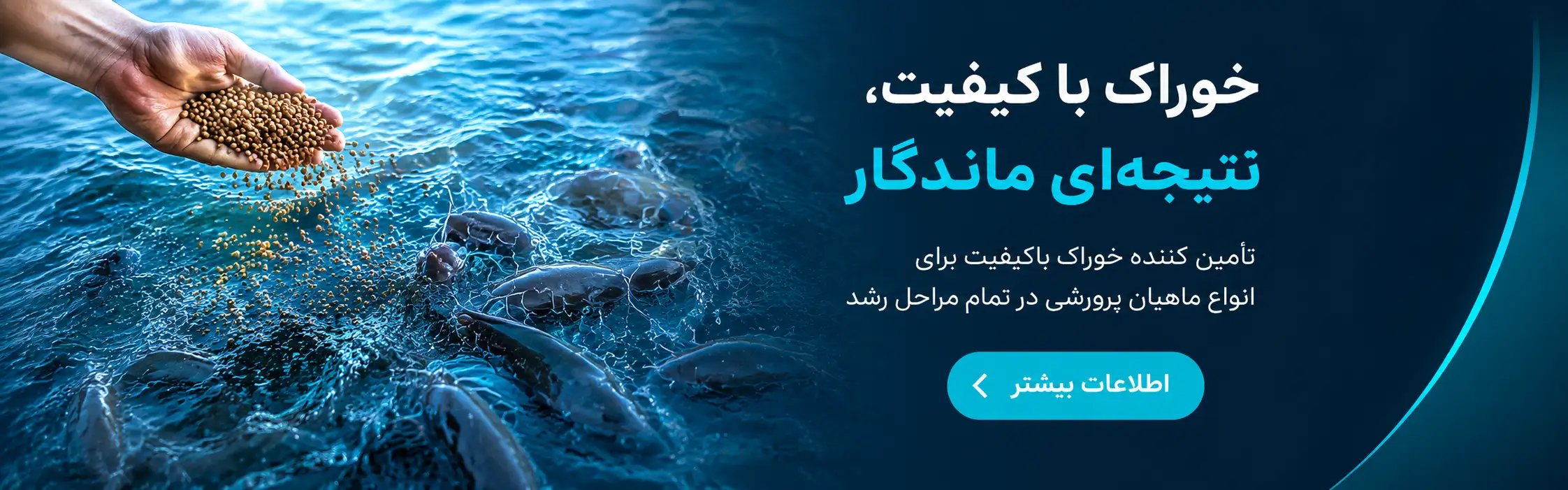 بنر