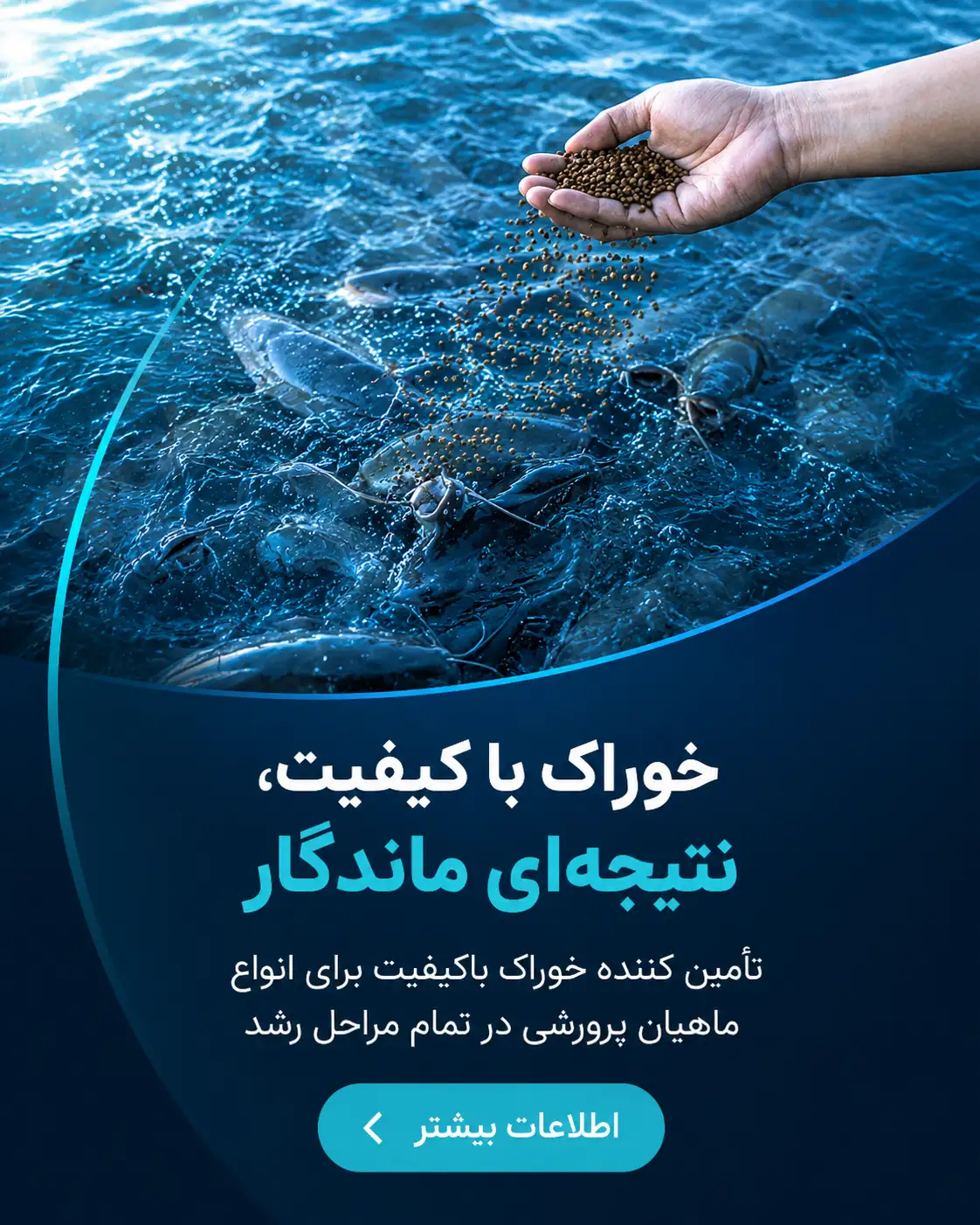 بنر