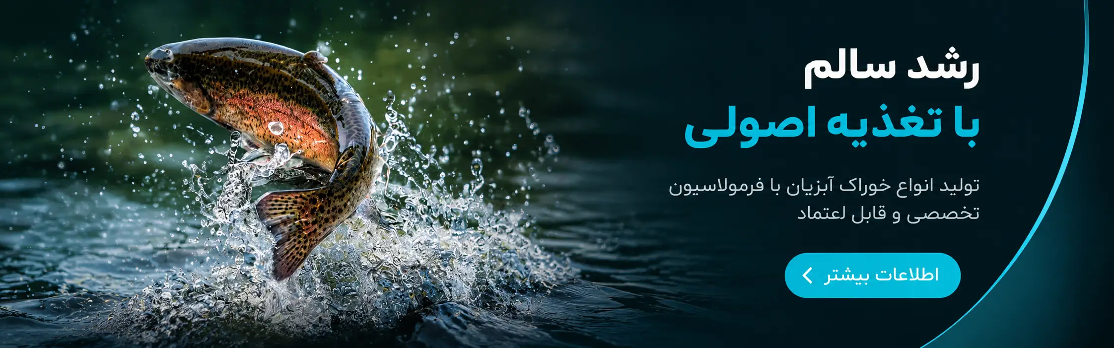 بنر