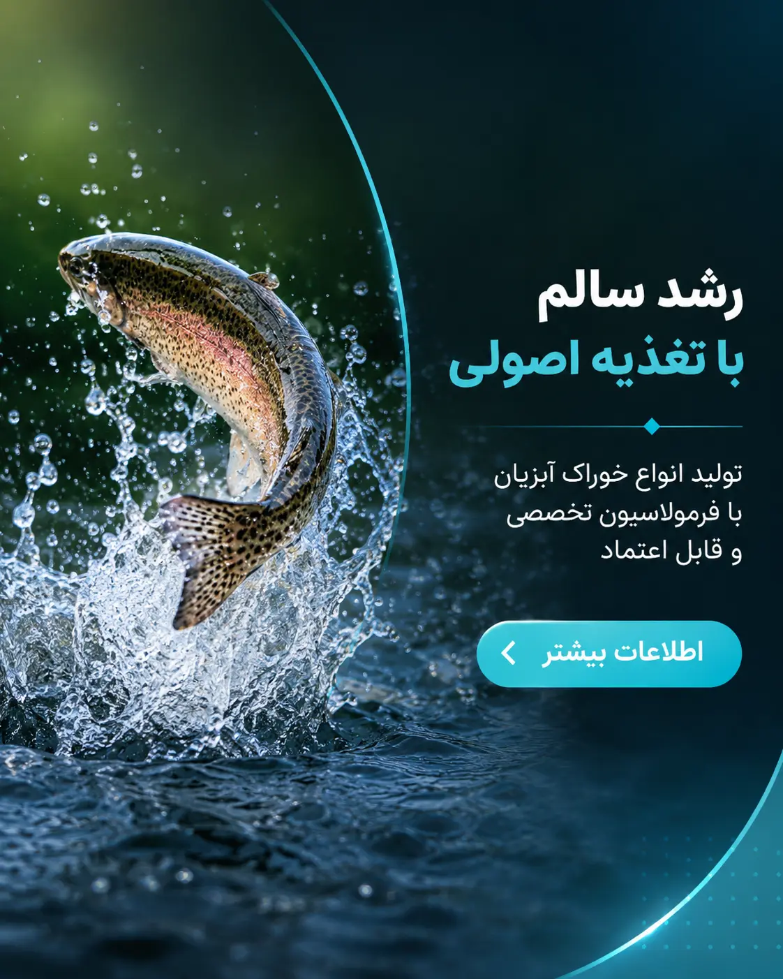 بنر